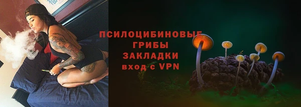 прущие грибы Алексин