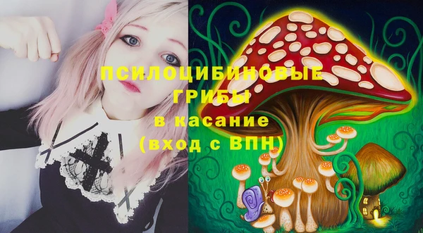 spice Алексеевка